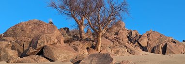 Souvenir du voyage de Carine, Namibie