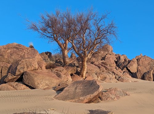 Souvenir du voyage de Carine, Namibie