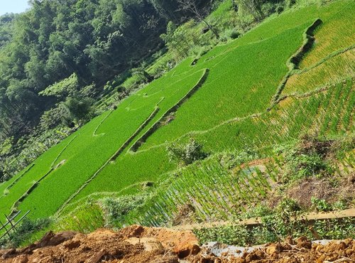 Souvenir du voyage de Vincent, Vietnam