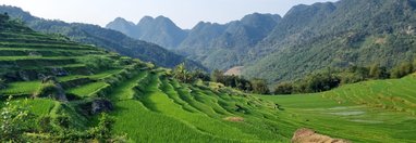 Souvenir du voyage de Vincent, Vietnam