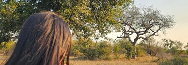 Souvenir du voyage de Sarah, Afrique du Sud