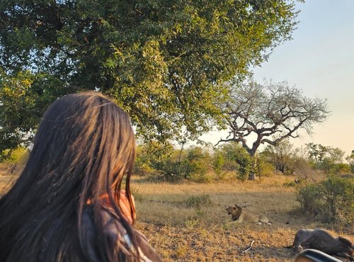 Souvenir du voyage de Sarah, Afrique du Sud