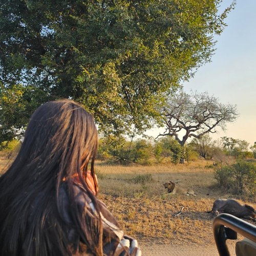 Souvenir du voyage de Sarah, Afrique du Sud