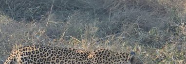 Souvenir du voyage de Sarah, Afrique du Sud
