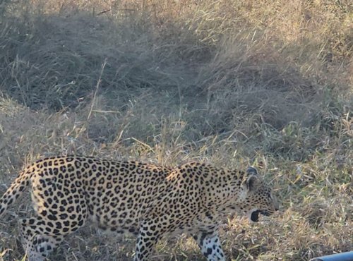 Souvenir du voyage de Sarah, Afrique du Sud