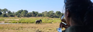 Souvenir du voyage de Sarah, Afrique du Sud