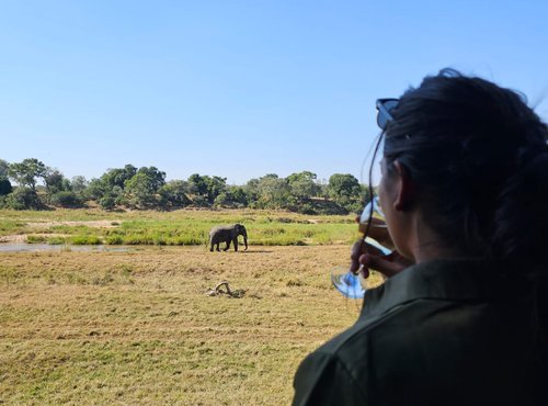 Souvenir du voyage de Sarah, Afrique du Sud