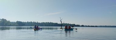 Souvenir du voyage de Noemie, Sri Lanka