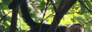 Souvenir du voyage de Anthony, Costa Rica