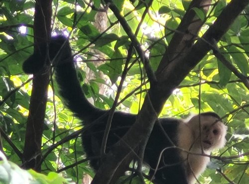 Souvenir du voyage de Anthony, Costa Rica