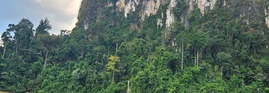 Souvenir du voyage de Gilberte, Thaïlande