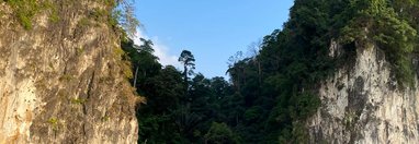 Souvenir du voyage de Gilberte, Thaïlande