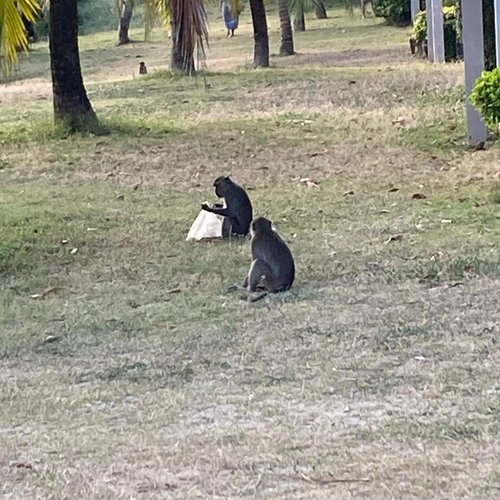 Souvenir du voyage de Gilberte, Thaïlande