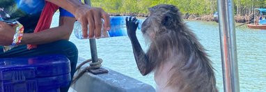 Souvenir du voyage de Gilberte, Thaïlande