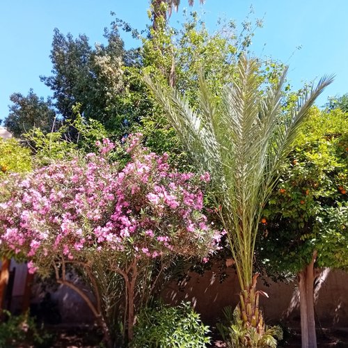 Souvenir du voyage de Hubert, Maroc