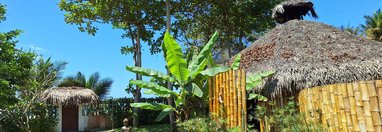 Souvenir du voyage de Michel, Equateur