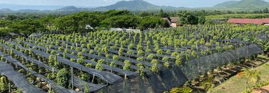 Souvenir du voyage de Eric, Cambodge