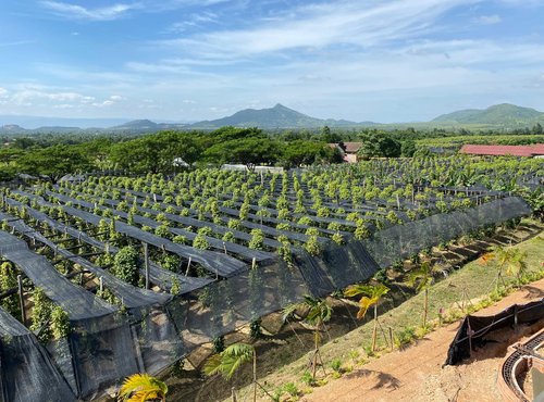 Souvenir du voyage de Eric, Cambodge