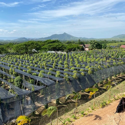 Souvenir du voyage de Eric, Cambodge