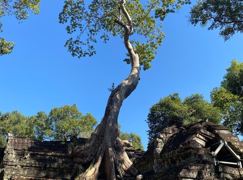 Souvenir du voyage de Eric, Cambodge