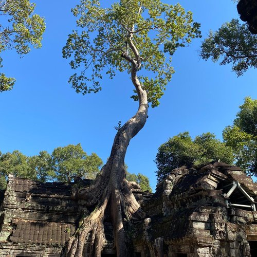 Souvenir du voyage de Eric, Cambodge