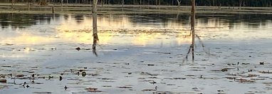 Souvenir du voyage de Eric, Cambodge