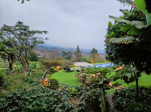 Souvenir du voyage de Nicolas, Tanzanie