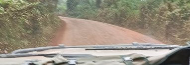 Souvenir du voyage de Nicolas, Tanzanie