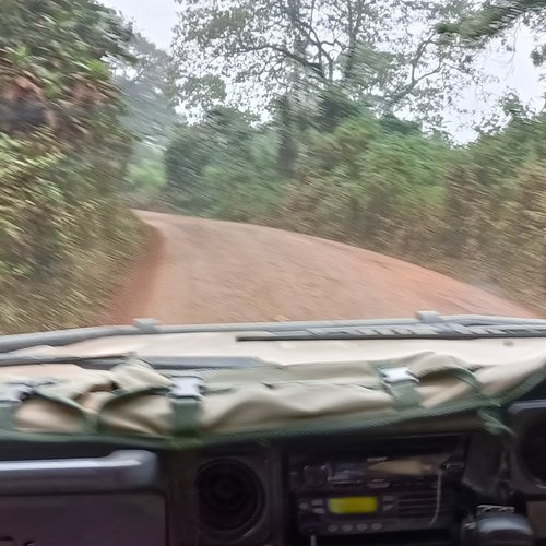 Souvenir du voyage de Nicolas, Tanzanie