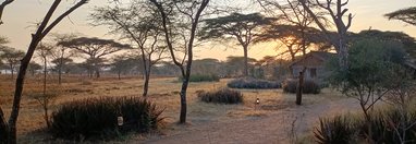 Souvenir du voyage de Nicolas, Tanzanie