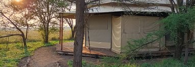 Souvenir du voyage de Nicolas, Tanzanie