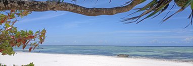 Souvenir du voyage de Nicolas, Tanzanie