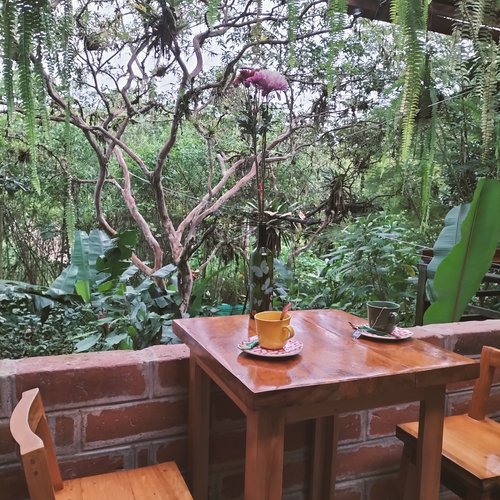 Souvenir du voyage de Michel, Equateur