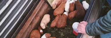 Souvenir du voyage de Michel, Equateur