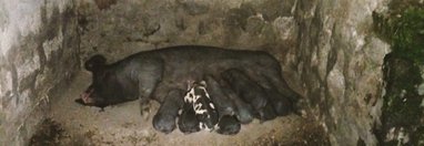 Souvenir du voyage de Michel, Equateur