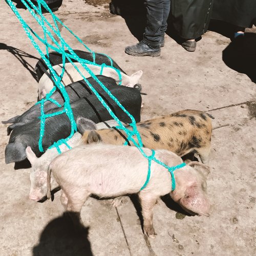 Souvenir du voyage de Michel, Equateur