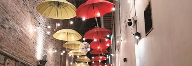 Souvenir du voyage de Michel, Equateur