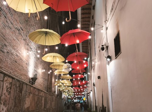 Souvenir du voyage de Michel, Equateur