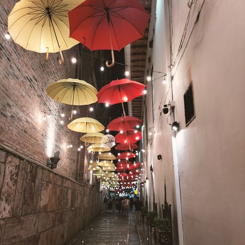 Souvenir du voyage de Michel, Equateur