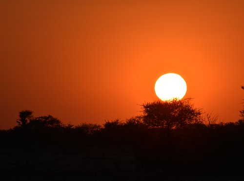 Souvenir du voyage de Marion, Namibie