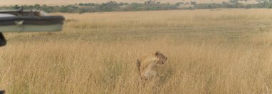 Souvenir du voyage de Michel, Kenya