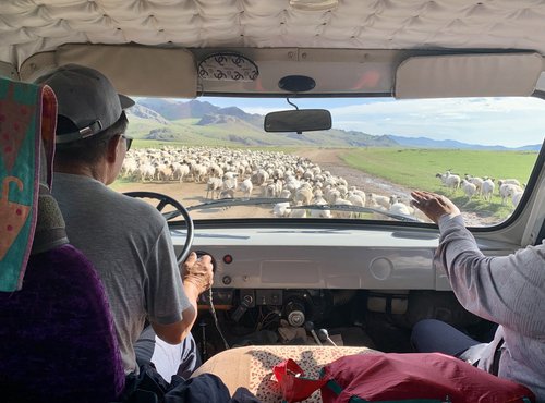 Souvenir du voyage de Jordan, Mongolie