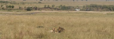 Souvenir du voyage de Michel, Kenya