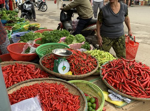 Souvenir du voyage de Nathalie, Vietnam