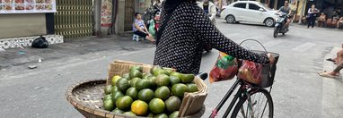 Souvenir du voyage de Carole, Vietnam