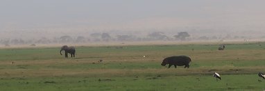 Souvenir du voyage de Michel, Kenya