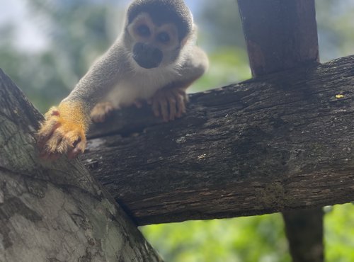 Souvenir du voyage de Aurelien, Colombie