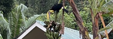 Souvenir du voyage de Catherine, Costa Rica