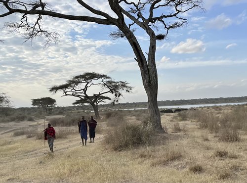 Souvenir du voyage de Vincent, Tanzanie