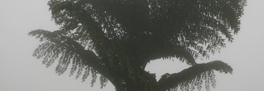 Souvenir du voyage de Michel, Vietnam